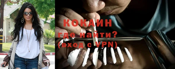стаф Ельня