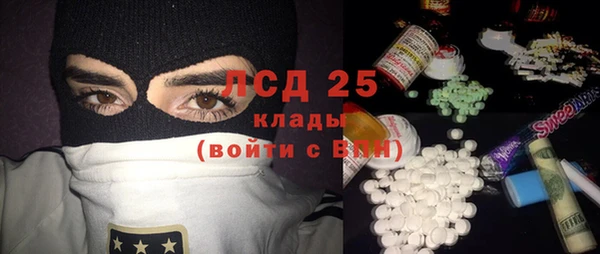 СК Елизово