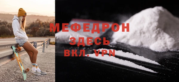 стаф Ельня