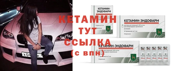 стаф Ельня