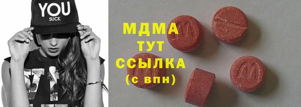 стаф Ельня