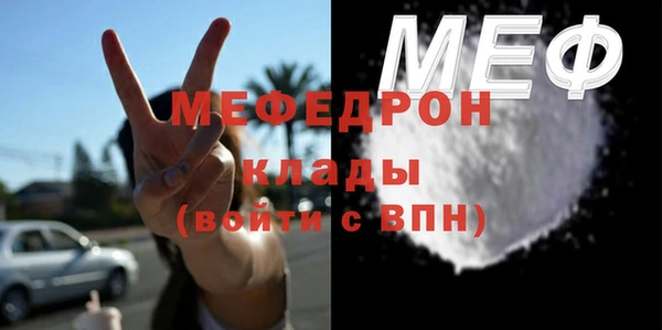 стаф Ельня