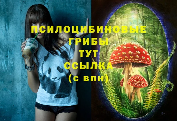 стаф Ельня