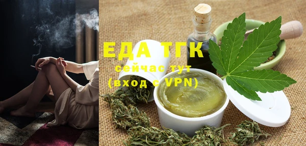 стаф Ельня