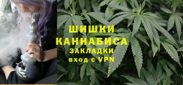 стаф Ельня