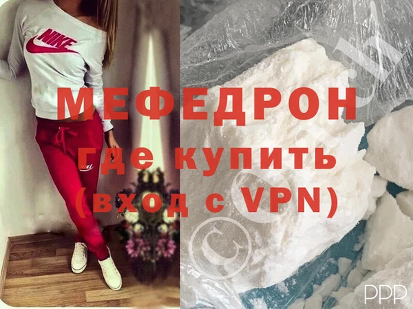 стаф Ельня